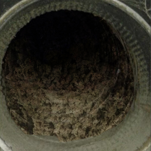 dryer before cleaning