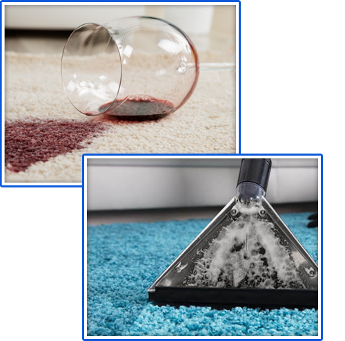Professional Carpet Cleaners