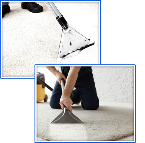 Professional rug Cleaners